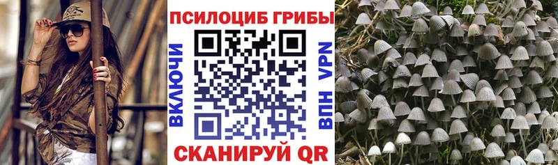 Псилоцибиновые грибы Psilocybine cubensis  Купить закладки  Исилькуль 